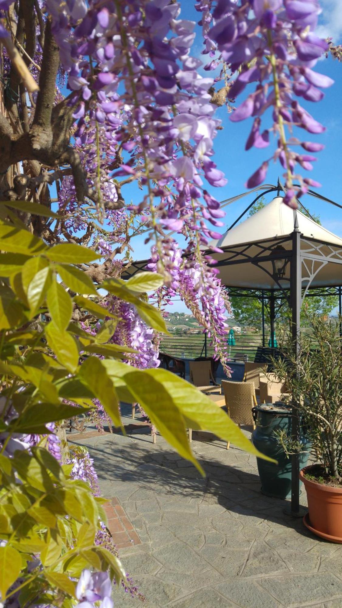 Locanda Del Boscogrande Montegrosso d'Asti Экстерьер фото