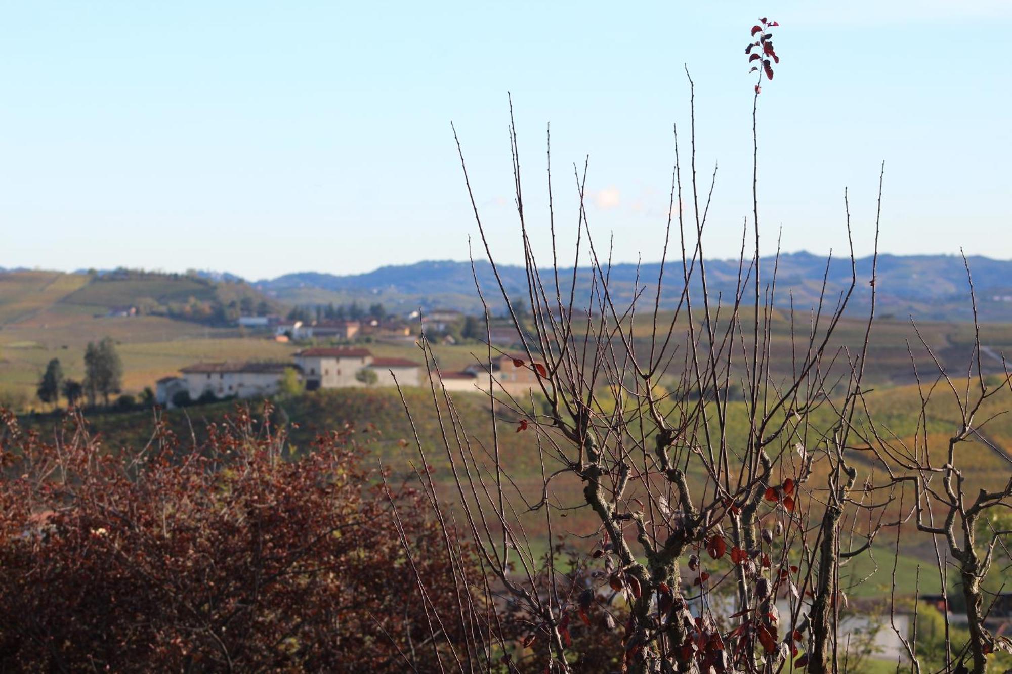 Locanda Del Boscogrande Montegrosso d'Asti Экстерьер фото