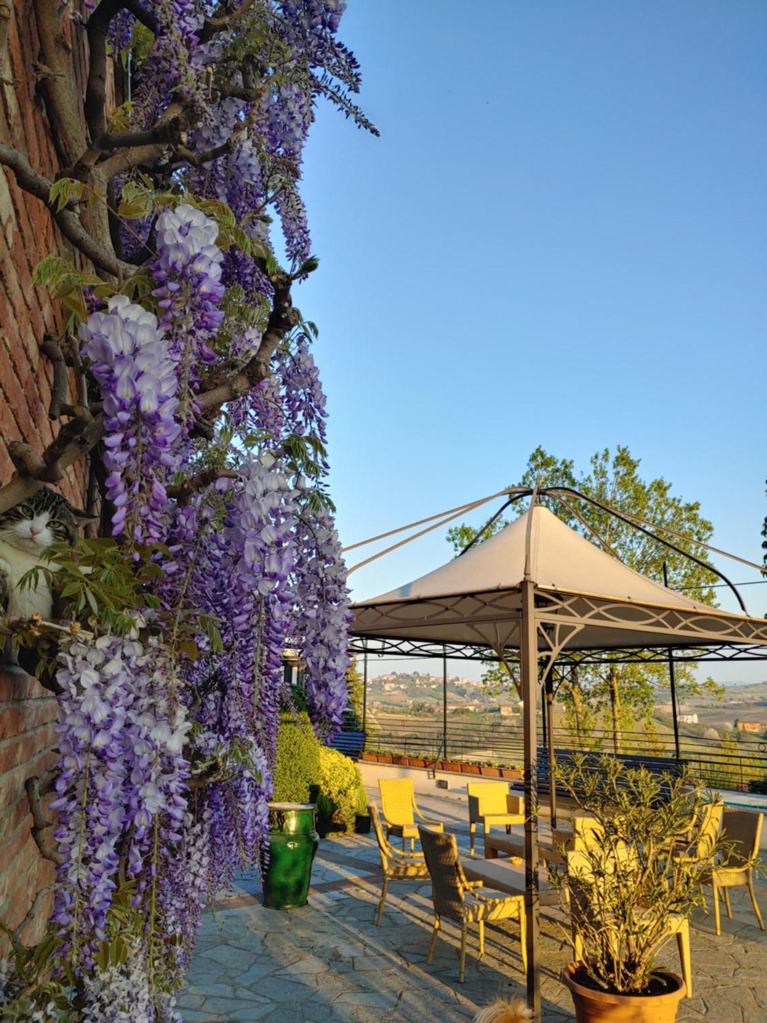 Locanda Del Boscogrande Montegrosso d'Asti Номер фото