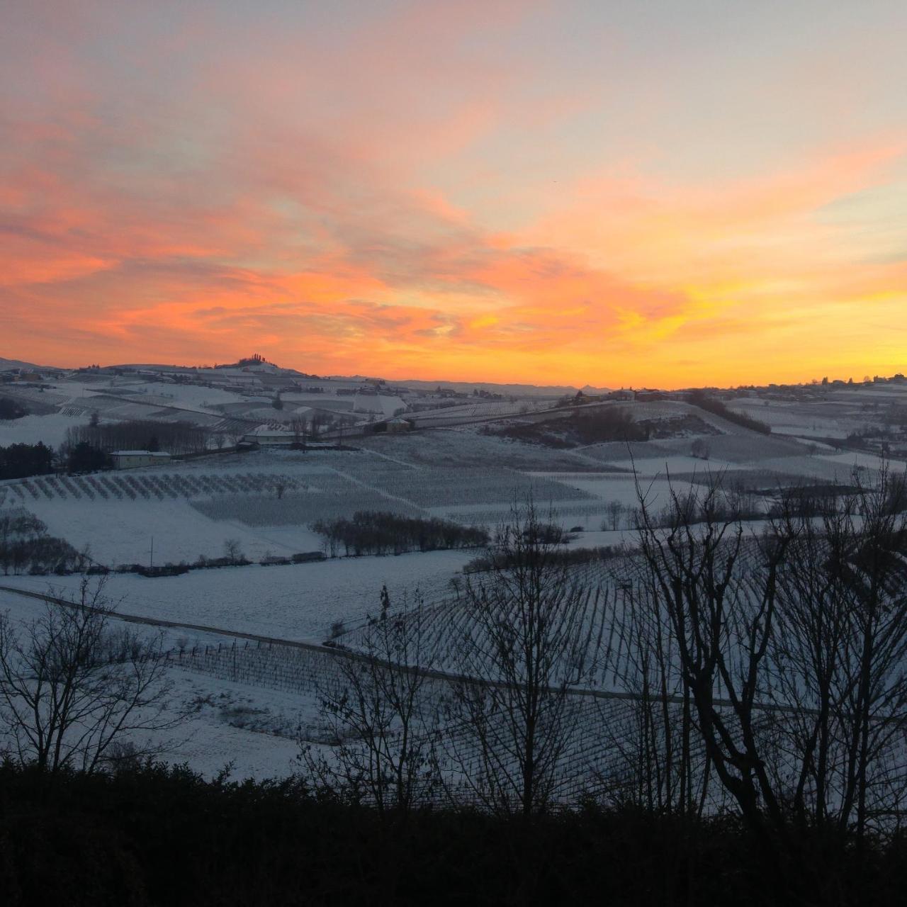 Locanda Del Boscogrande Montegrosso d'Asti Экстерьер фото