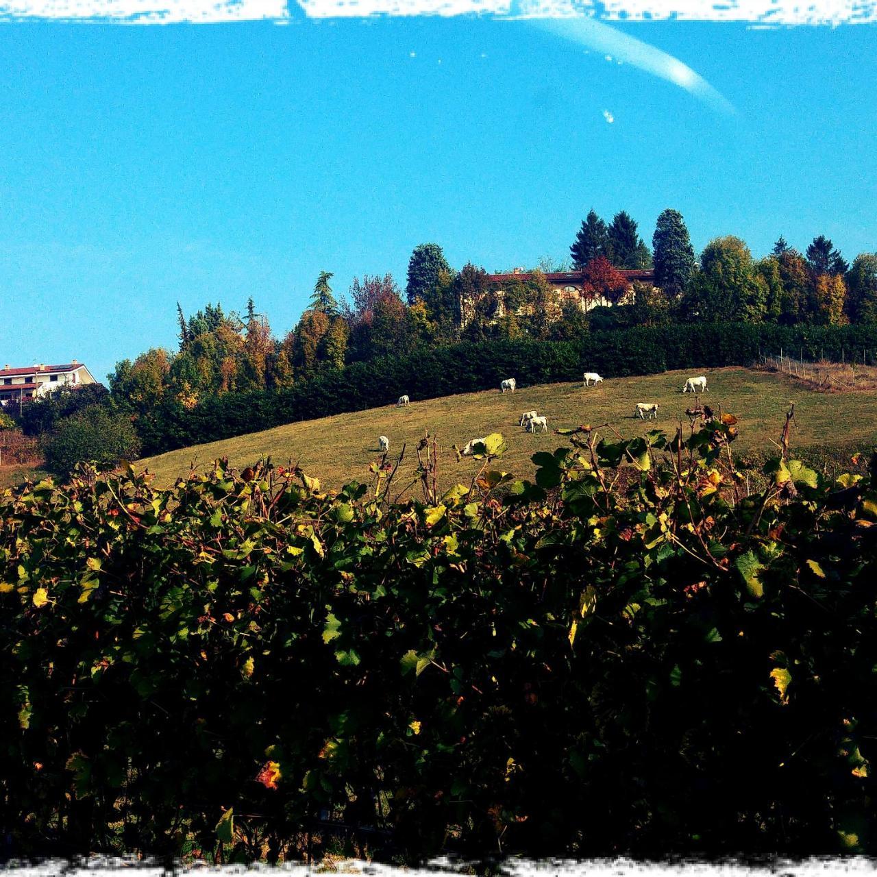 Locanda Del Boscogrande Montegrosso d'Asti Экстерьер фото